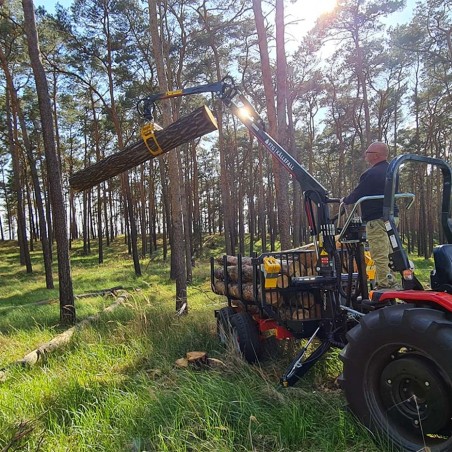 grue à bois