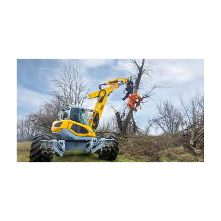 WESTTECH Woodcracker C 300 sur pelle araignée : photographie du catalogue constructeur français.