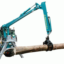 Grue forestière