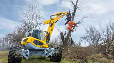 Cisaille d’abattage WESTTECH Woodcracker C 300 en application