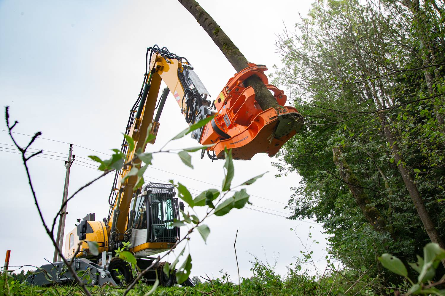 Cisaille d’abattage WESTTECH Woodcracker C 350 en application