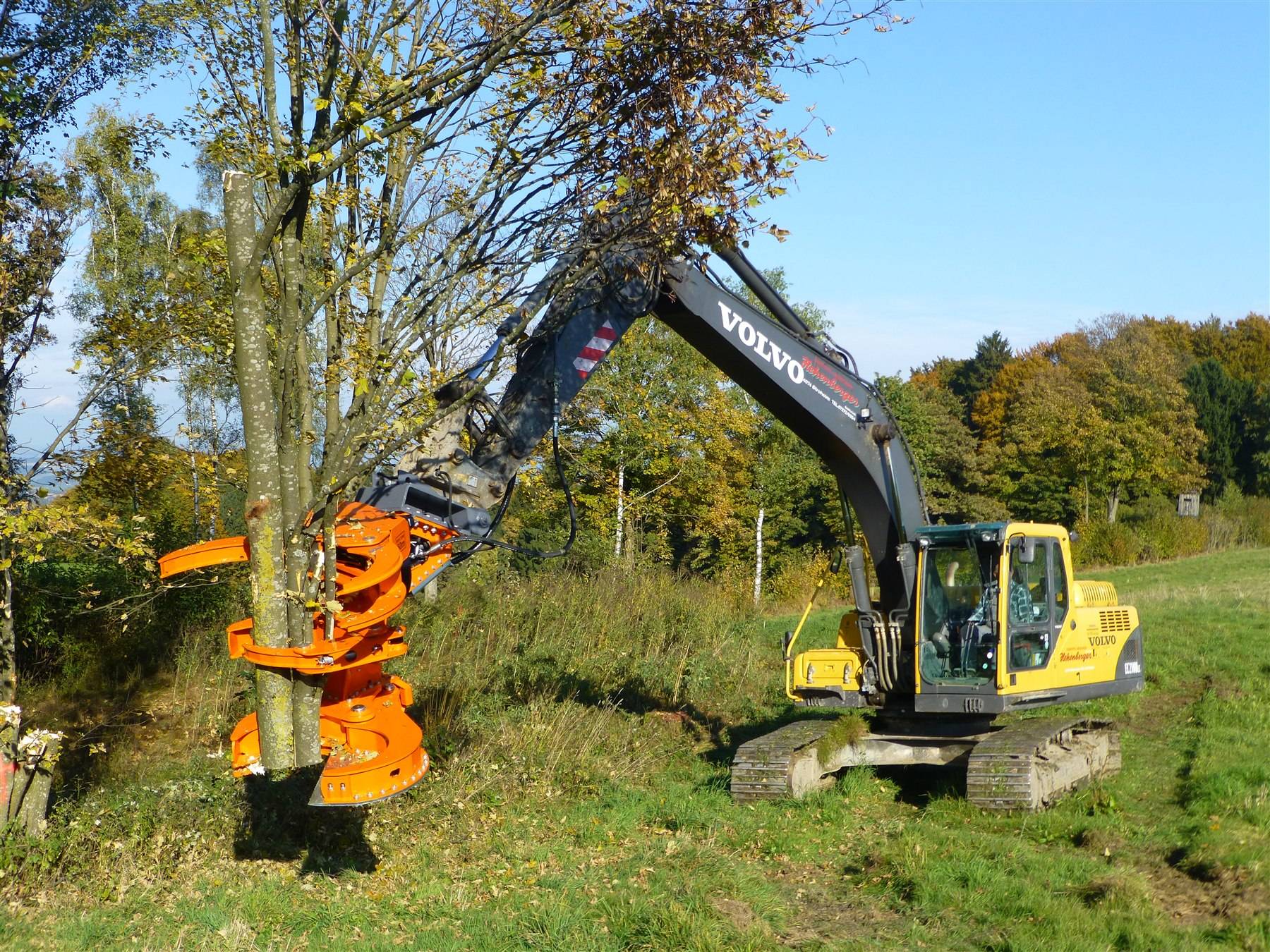 Cisaille d’abattage WESTTECH Woodcracker C 450 en application