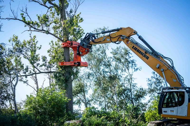 Cisaille d’abattage WESTTECH Woodcracker C 650 en application