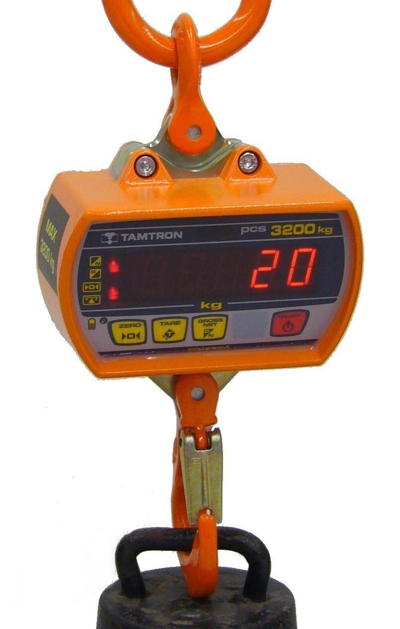 Pesons de grue TAMTRON SCS+